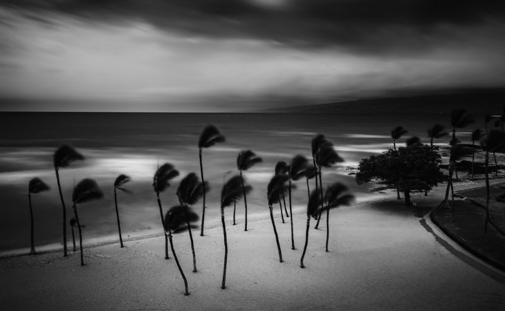 Picture of Tropical Storm