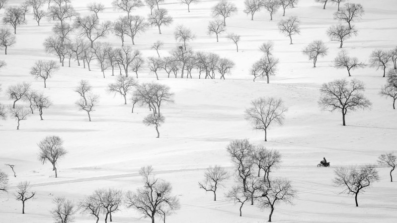 On the way photowallpaper Scandiwall