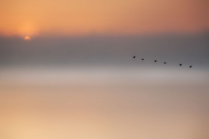 Afbeeldingen van Precious Memories