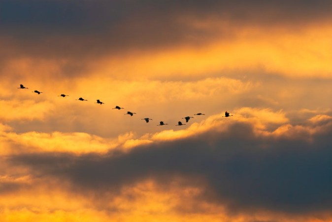 Afbeeldingen van Opening Heaven