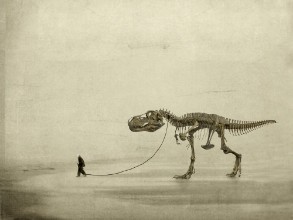 Picture of The Walk