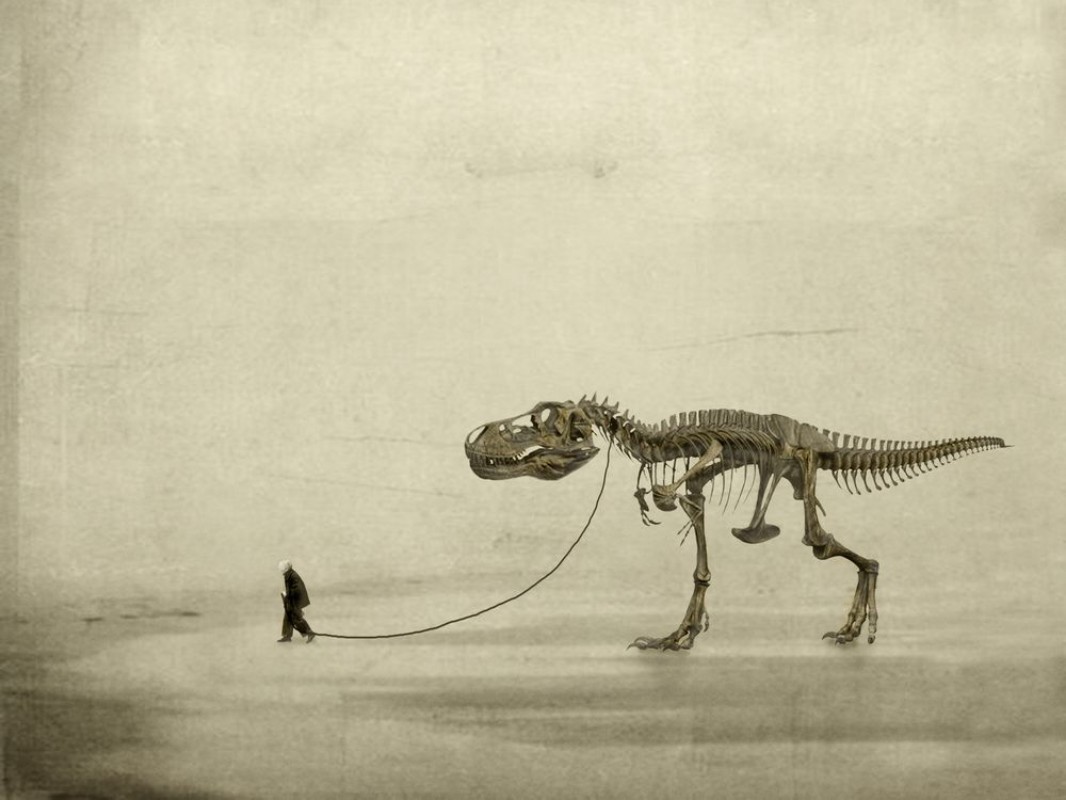Picture of The Walk