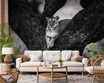 Afbeeldingen van Tree Lady