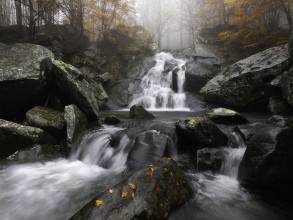 Afbeeldingen van Autumn Fog