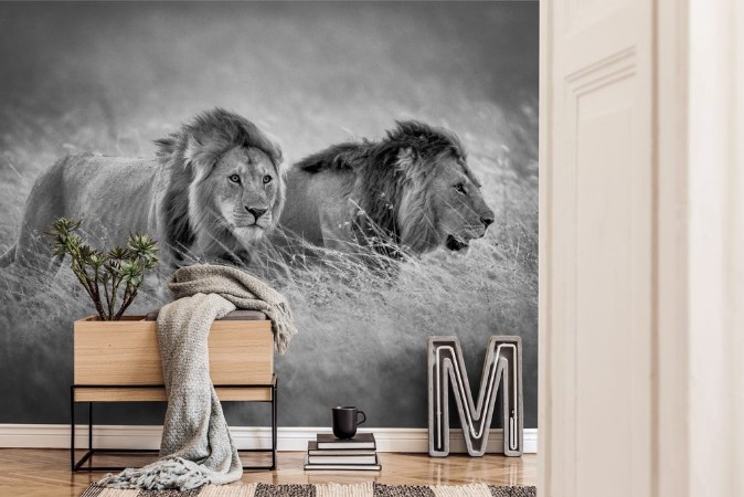 Afbeeldingen van Emerging from the Savannah