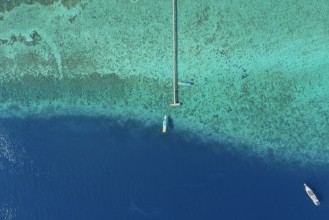 Pilt The Ocean