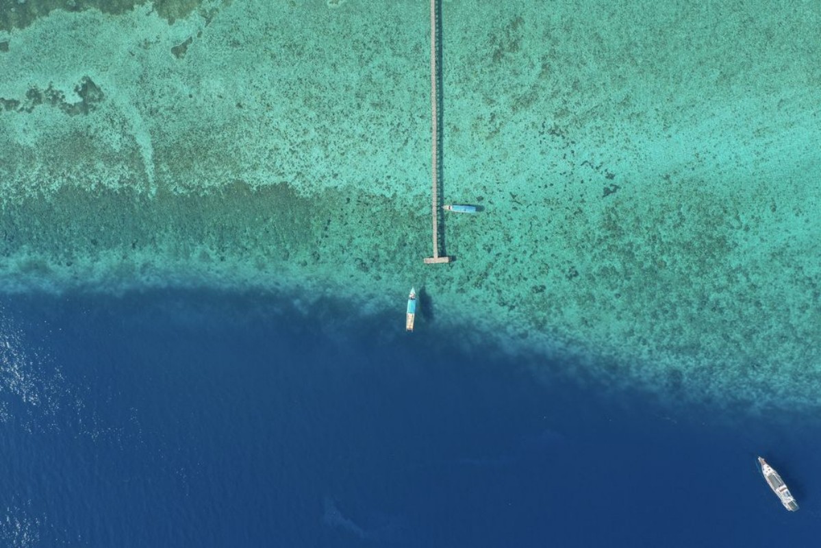 Picture of The Ocean