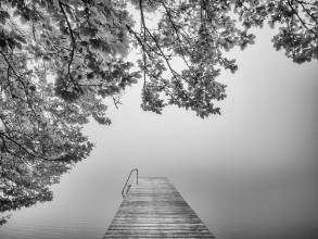 Bild vun The Sound of Silence