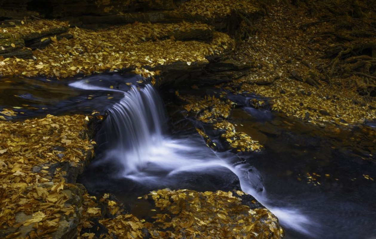 Afbeeldingen van Autumn Waterfall