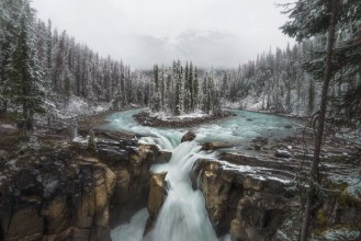 Bild von Frozen Throne