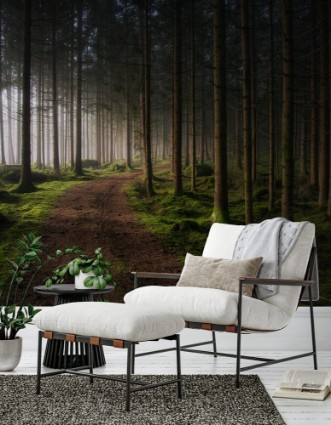 Picture of Winding Path