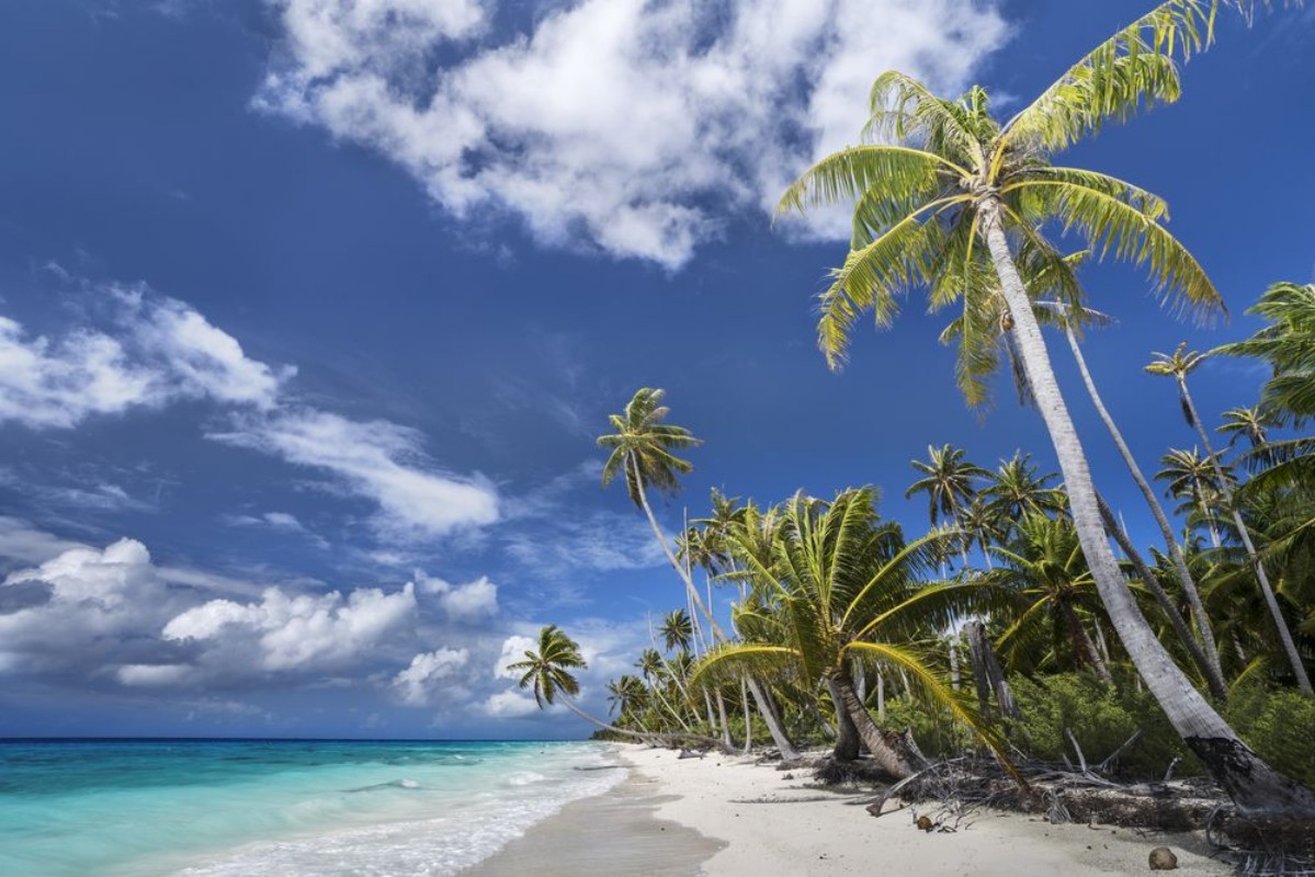 Picture of Desert Island