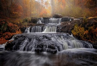 Picture of Fall of Fall