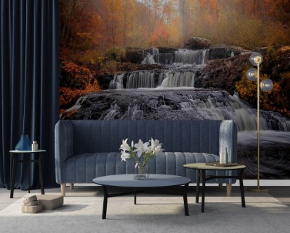 Afbeeldingen van Fall of Fall