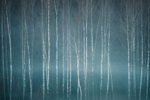 Picture of November Mood