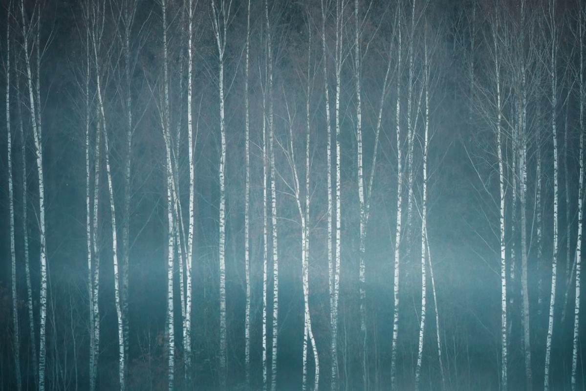 Image de November Mood