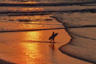 Poza cu The Sunset Surfer