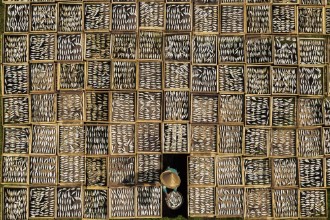 Picture of Saltede tørkede fisker