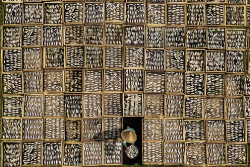 Picture of Saltede tørrede fisk