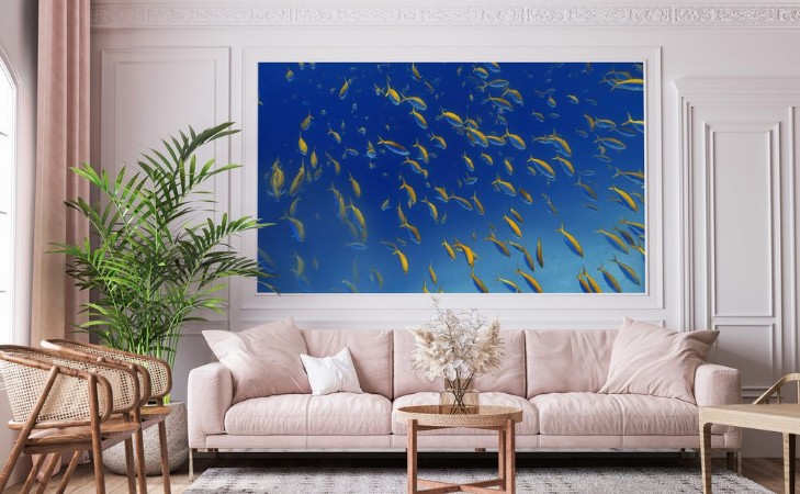 Picture of Fiskefeber