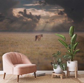 Afbeeldingen van The Stormbreaker