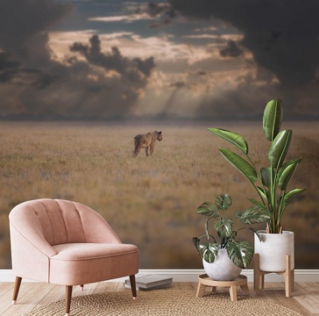 Afbeeldingen van The Stormbreaker