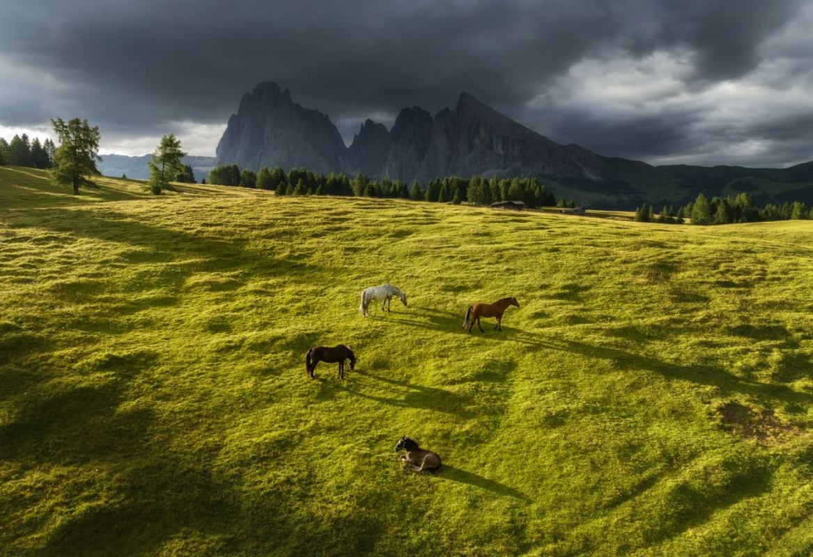 Bild vun Horses in the Dolomites