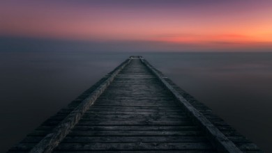 Bild von Falling into Infinity