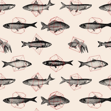Afbeeldingen van Fish In Geometrics