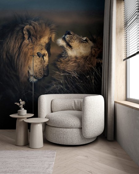 Afbeeldingen van Brothers