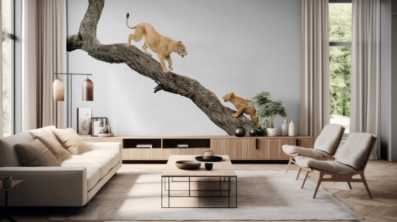 Afbeeldingen van Tree Climbing Lesson