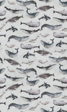 Picture of Whale Boy