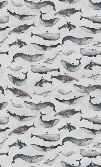 Picture of Whale Boy