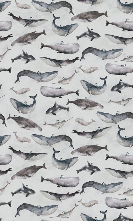 Afbeeldingen van Whale Boy