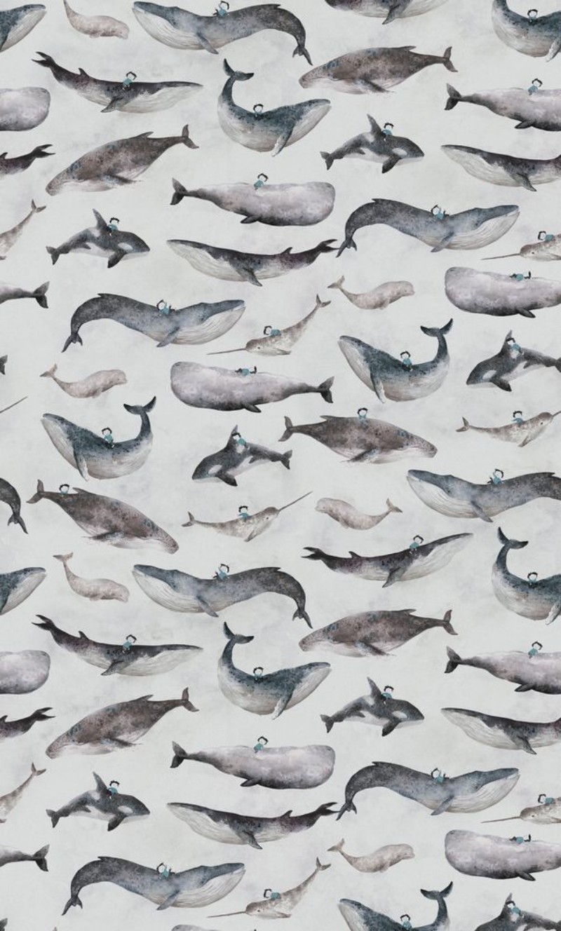 Picture of Whale Boy