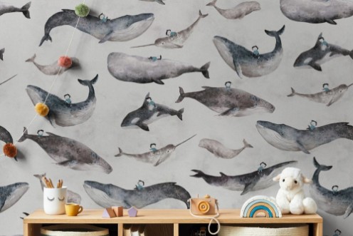 Picture of Whale Boy