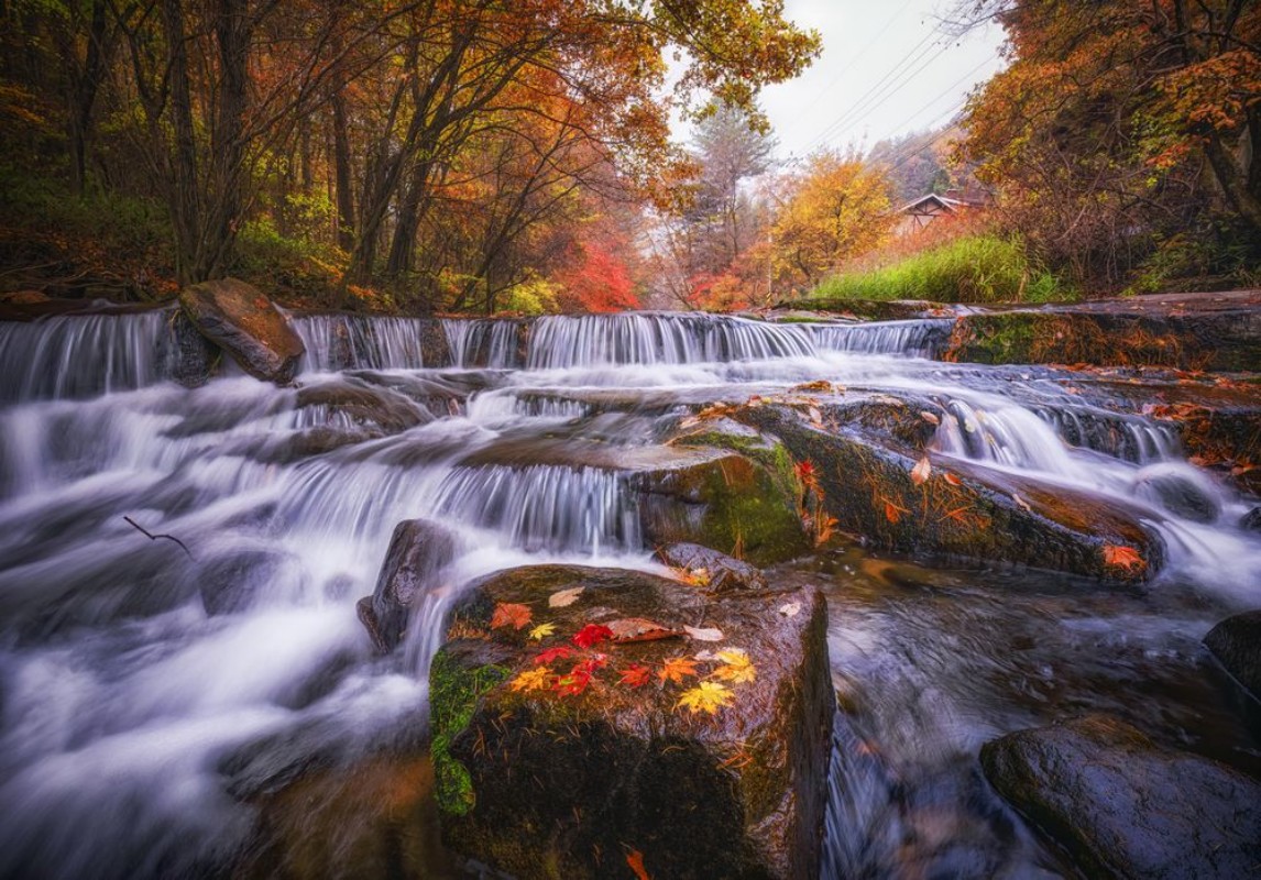 Picture of Mountain Streams