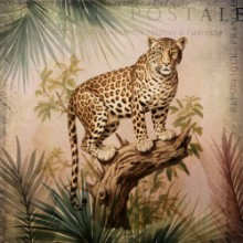 Kép Cheetahs Exotic Jungle
