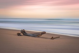 Εικόνα της Driftwood Sunrise