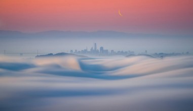 Obrázek SF in Fog