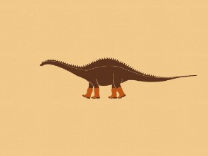 Kép Rebbachisaurus