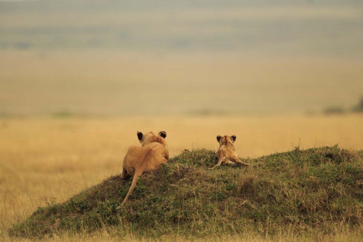 Picture of One day it will be yours