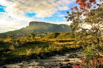 Picture of View towards Kukenan en route to Mount Roraima Venezuela