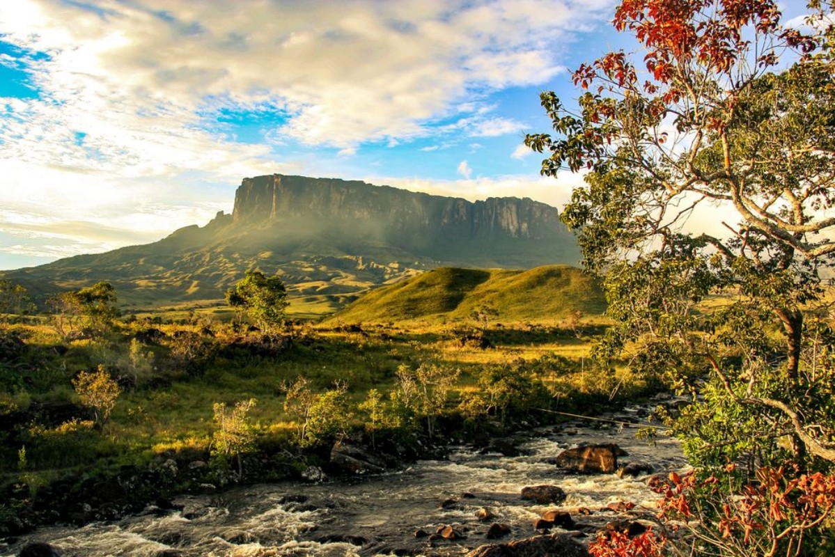 Picture of View towards Kukenan en route to Mount Roraima Venezuela
