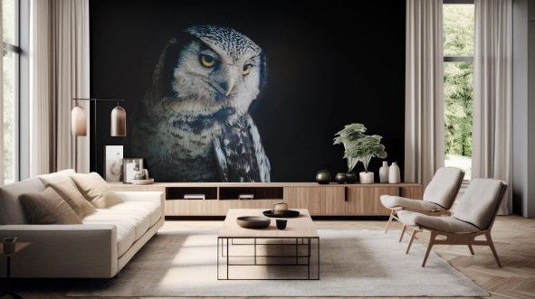 Afbeeldingen van Owl