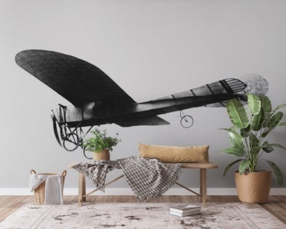 Afbeeldingen van Bleriot 1910 Date 3654