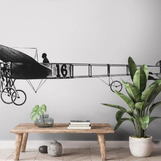 Afbeeldingen van Bleriot of Delagrange Date 1909