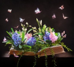Pilt Open Bible and garden