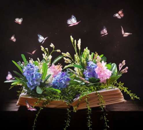 Afbeeldingen van Open Bible and garden