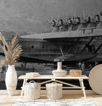 Afbeeldingen van Dornier Do-X Photo 2 Date 1929